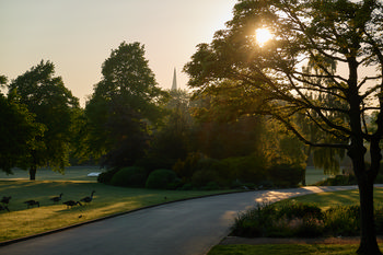 Queen's park, early summer morning with geese & spire This landscape photograph captures Queen's Park in Chesterfield, England, on an early summer morning. The sunlight filters through the trees, casting long shadows across the park's well-kept lawns and pathways. Geese are visible grazing on the grass, contributing to the tranquil atmosphere. In the background, the iconic twisted spire of Chesterfield Parish Church rises above the treetops, serving as a recognizable landmark in the United Kingdom. The overall scene highlights the lush greenery and natural beauty of Queen's Park, set against a clear morning sky, showcasing this location as a picturesque park in England.